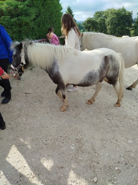 Domaine Equestre Les Grilles - photo 2