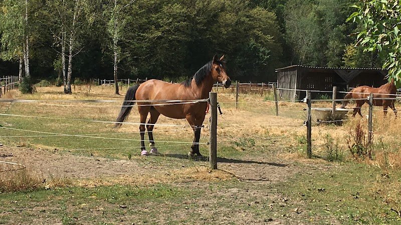 A.S.E.P. Ecurie Fialová - photo 1