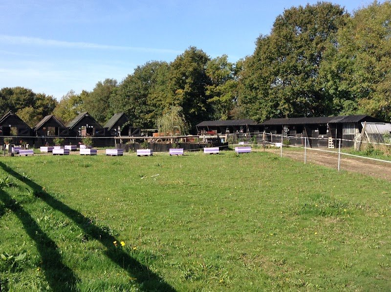 A.S.E.P. Ecurie Fialová - photo 3