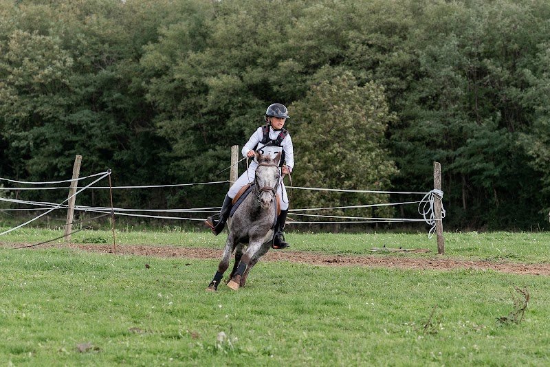 Ecurie Astola - photo 1