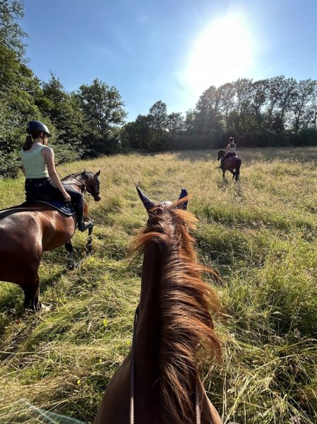 Ecurie Astola - photo 3