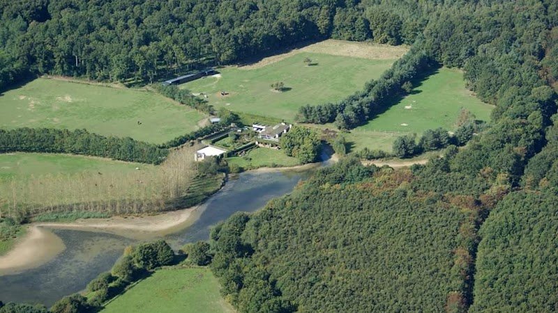 Écurie de la Triballe Pension pour chevaux- Mountain Trail- Gîte