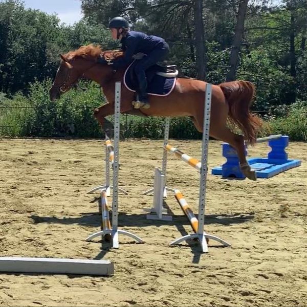 écurie des varennes - photo 1