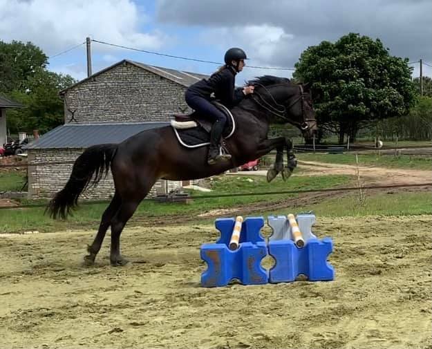 écurie des varennes - photo 2