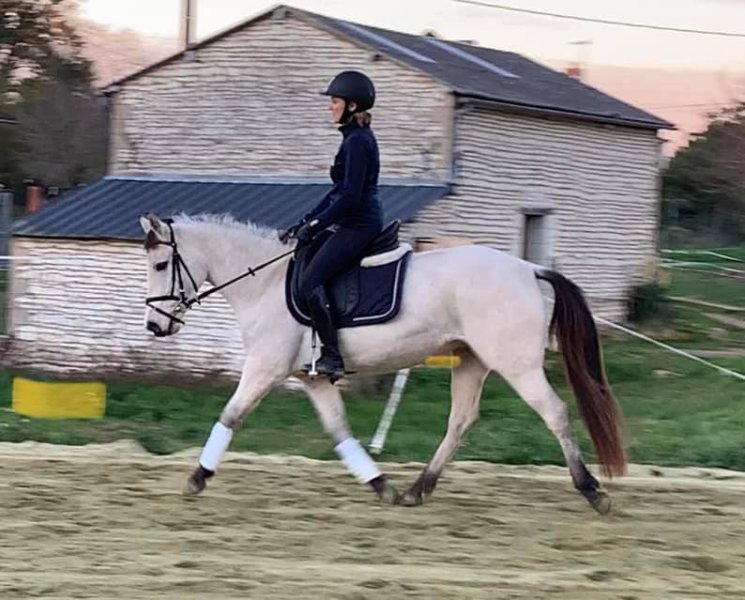 écurie des varennes - photo 3
