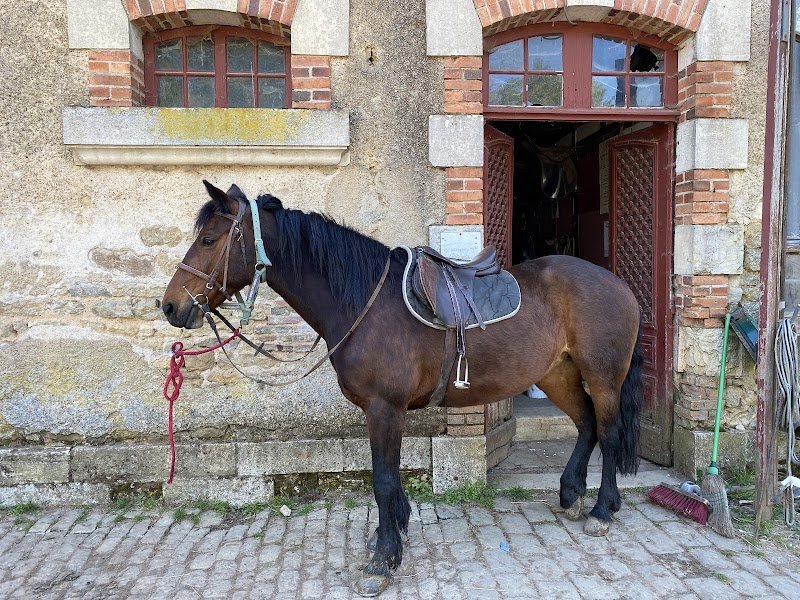 Centre Equestre de Chanteloup
