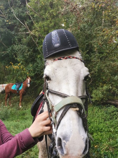 Les Ecuries d'Akila - photo 2