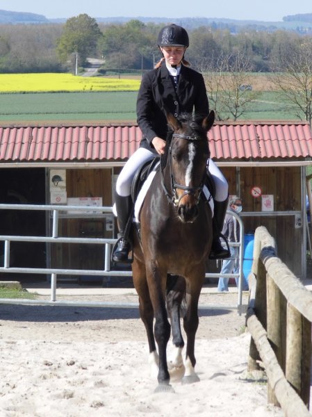 Les Ecuries d'Akila - photo 3