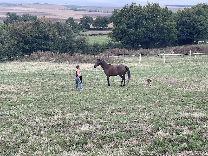 Ecurie des Lys - photo 1