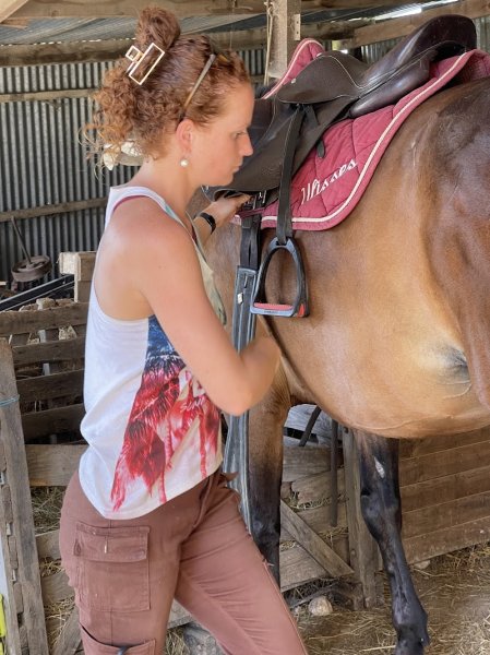 Ecurie des Lys - photo 2