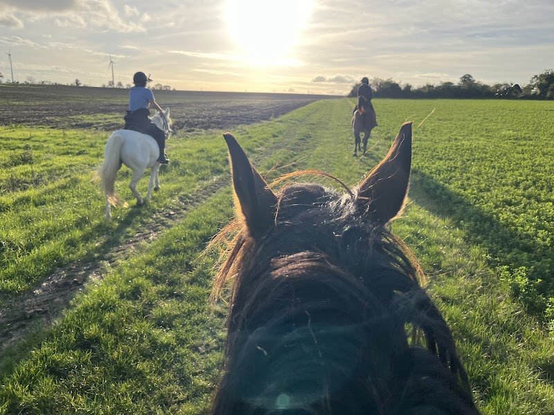 Ecurie des Lys - photo 3