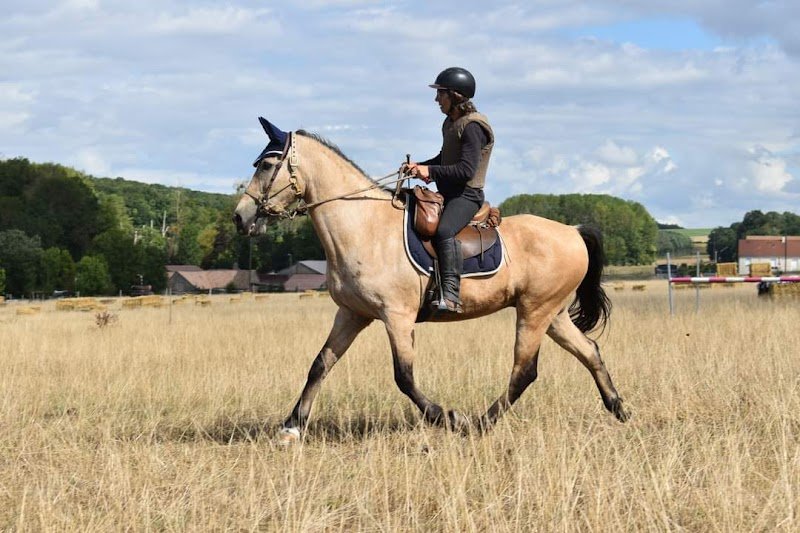 La Bohème, pension chevaux, ballades et demi pensions