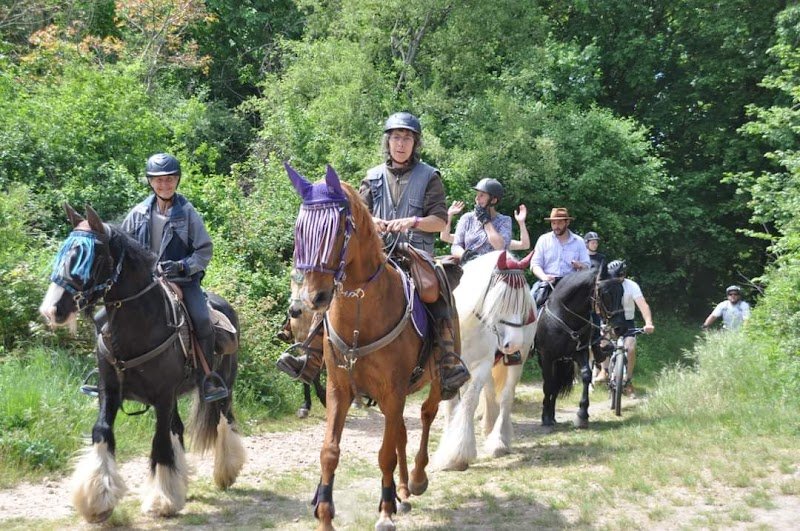 La Bohème, pension chevaux, ballades et demi pensions - photo 2