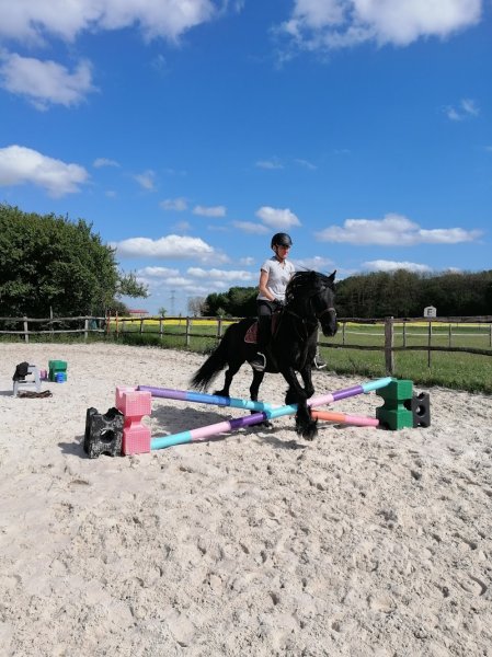 La Bohème, pension chevaux, ballades et demi pensions - photo 3
