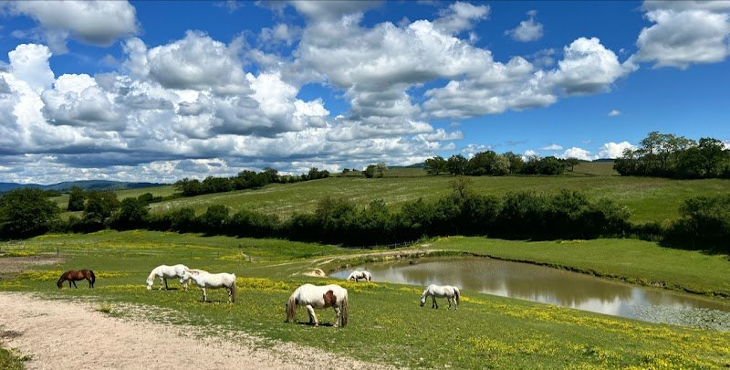 Écuries des Rendarts - photo 1