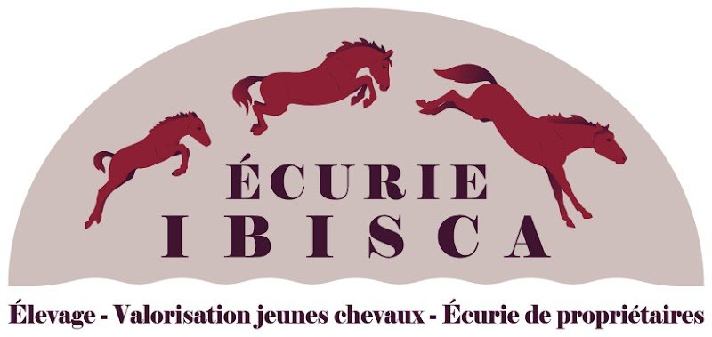 Ecurie Ibisca - photo 3