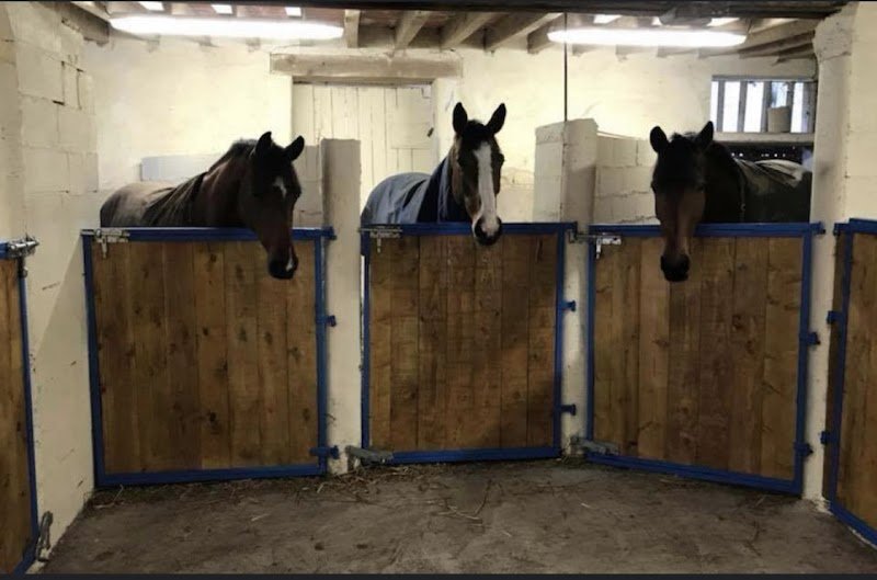 Ecurie Annelaure Clement - photo 3