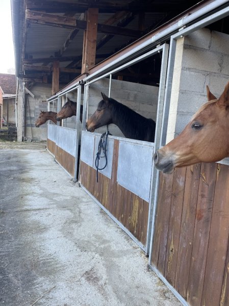 Ecurie des Rouges - photo 1
