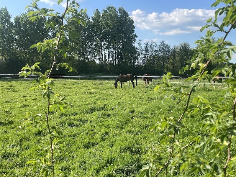 Ecurie des Rouges - photo 2