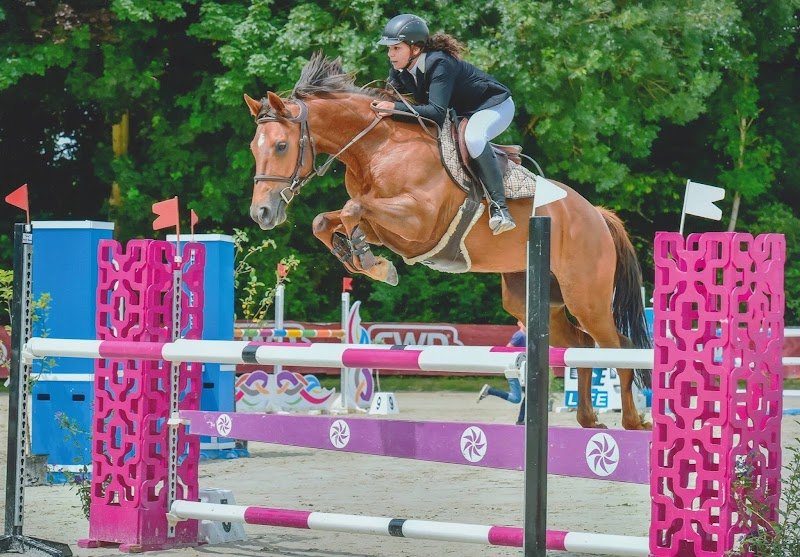 Ecurie des Rouges - photo 3