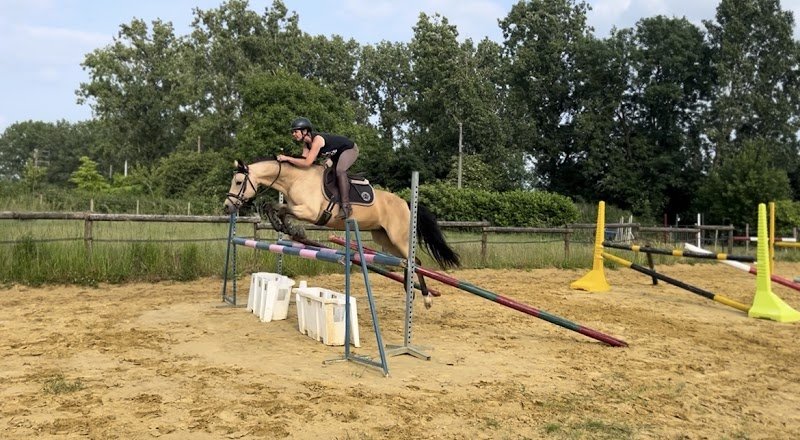 Les écuries d'herpigny