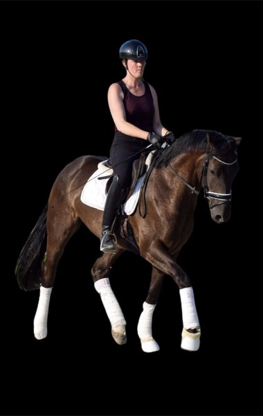 ECURIES DES ETANGS - photo 2