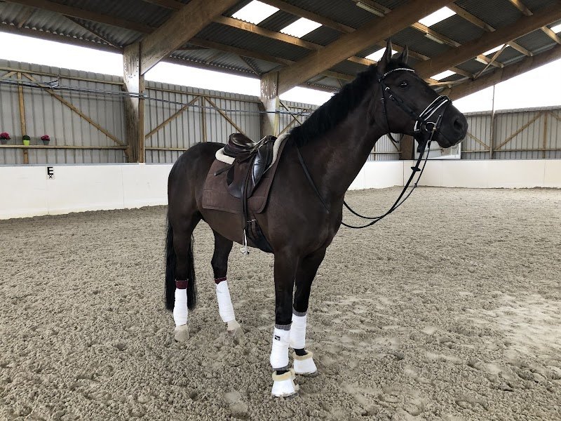 ECURIES DES ETANGS - photo 3