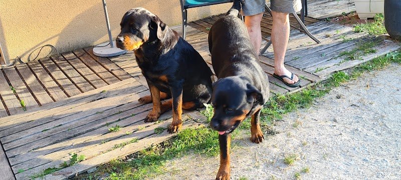 HARAS De Trefontaines - photo 3