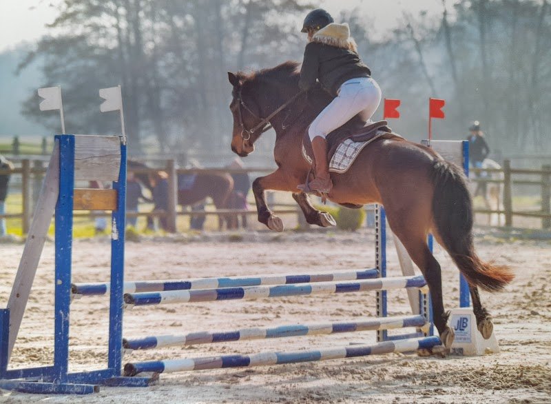 Les Écuries de la Coue