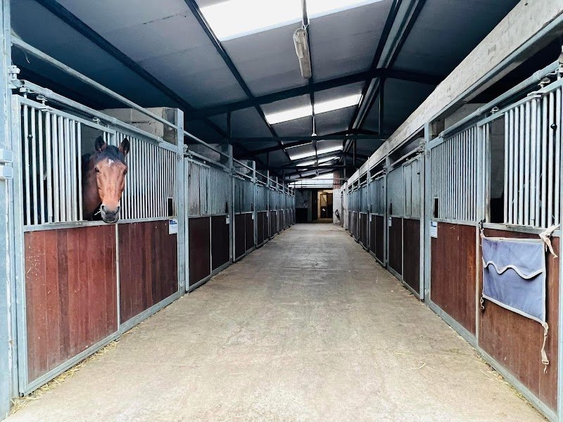 Écuries de Courcelles - photo 2