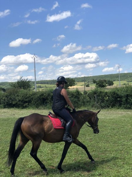 Les écuries d'Amazy - photo 2