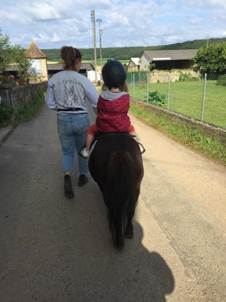 Les écuries d'Amazy - photo 3