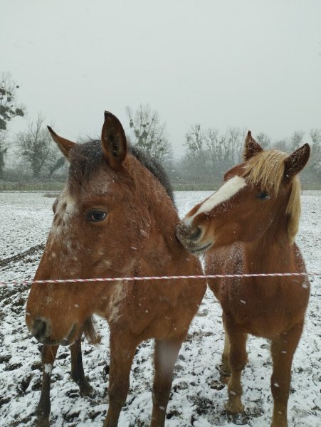 Ecuries de la Maladrerie - photo 3