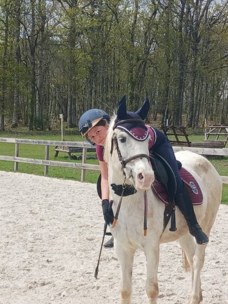 Club Hippique De Brinon Sur Sauldre