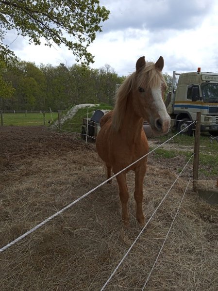 Club Hippique De Brinon Sur Sauldre - photo 3