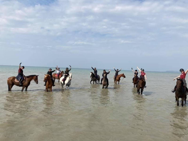 Les Écuries de la Bondie - photo 3