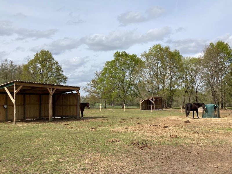 Les Écuries de Brard - photo 3