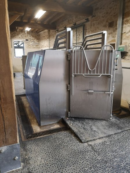 Haras du Pachavert - photo 2