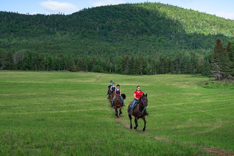 Les Écuries Entre Monts et Marées - photo 2
