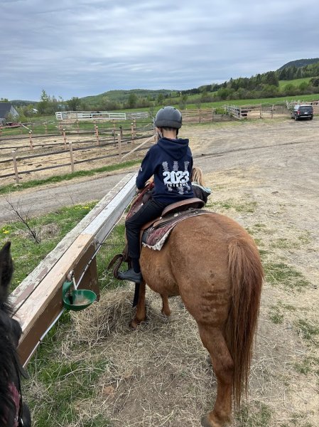Les Écuries Entre Monts et Marées - photo 3