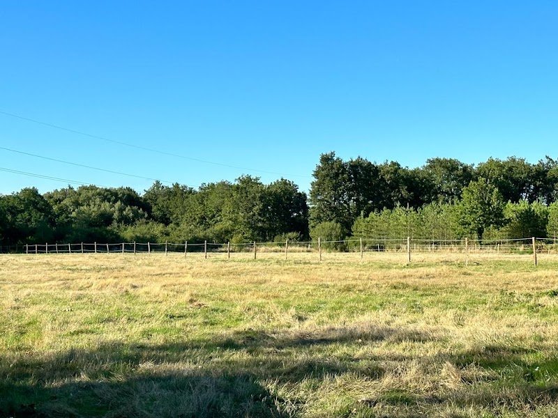 Ecuries du Bois Naudin - photo 2