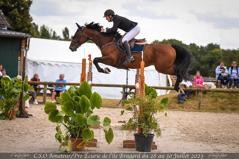 Ecuries du Bois Naudin - photo 3
