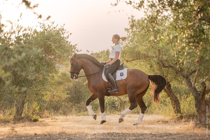 Ecurie Brigitte Bonnot - photo 1