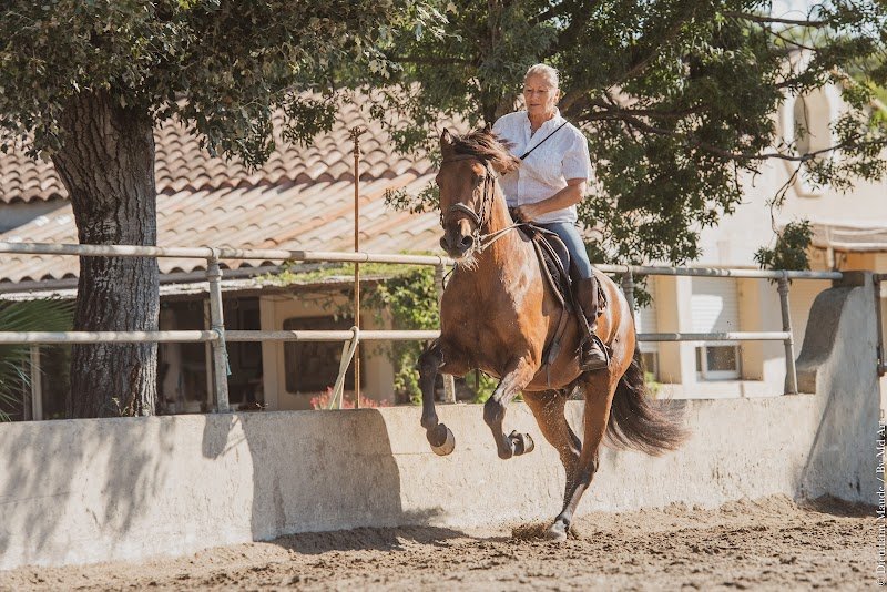 Ecurie Brigitte Bonnot - photo 2