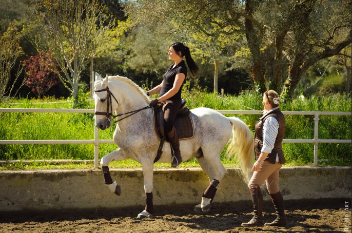 Ecurie Brigitte Bonnot - photo 3