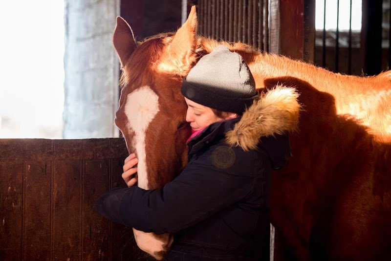 Ecurie Bonnot - photo 1