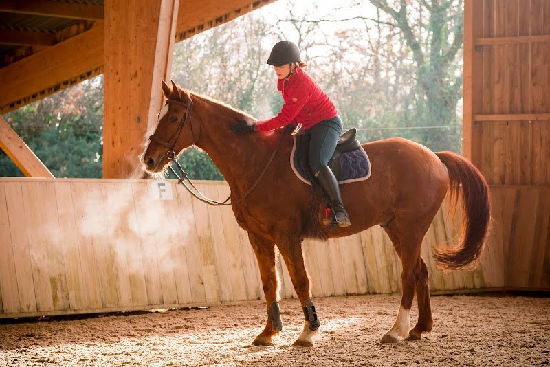 Ecurie Bonnot - photo 2