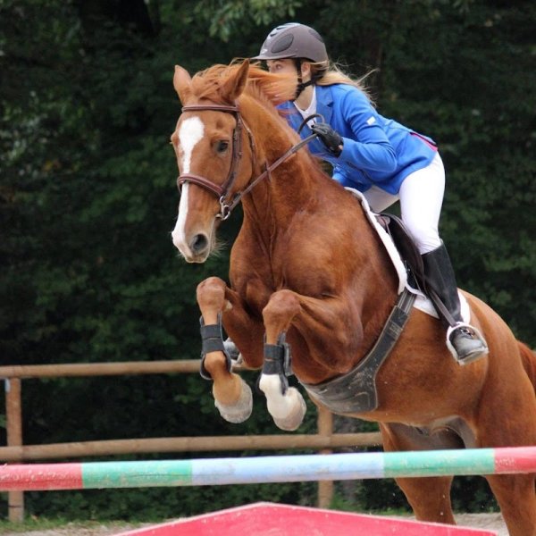 Ecurie Bonnot - photo 3