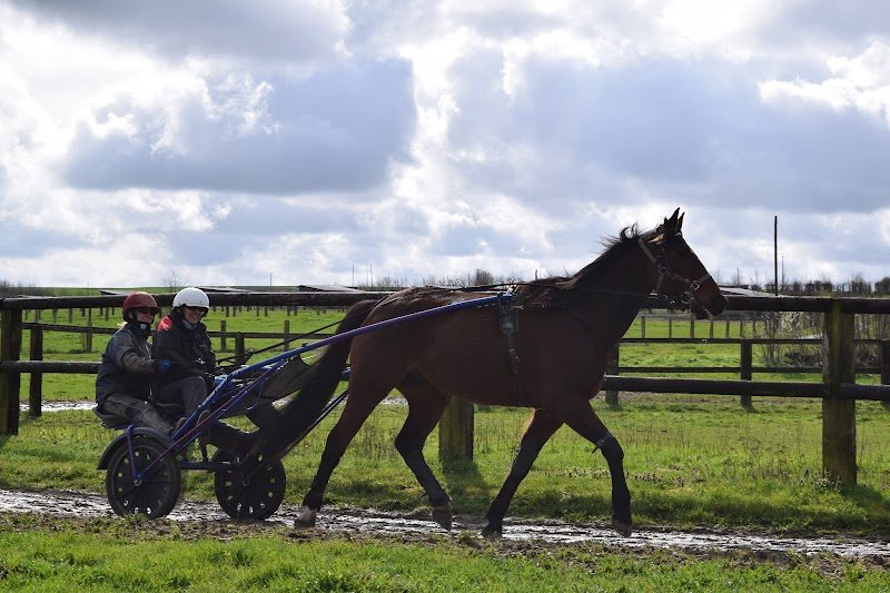 Haras du Saint Georges - photo 1