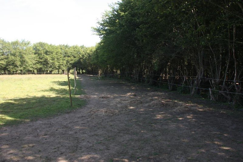 Relais Equestre de Liessies - photo 2